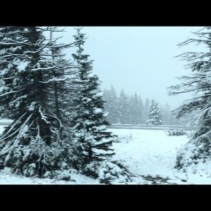 Meet your Posher, Jerry